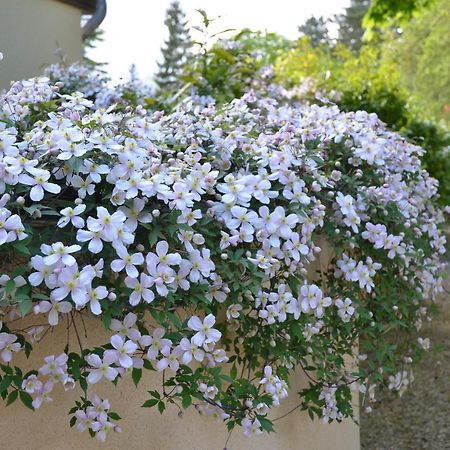 Le Clos Fleuri Bed and Breakfast Ζιβερνί Εξωτερικό φωτογραφία